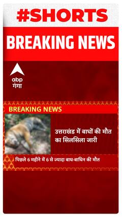 Uttarakhand में बाघों की मौत का सिलसिला जारी, वन विभाग में मचा हड़कंप | Shorts