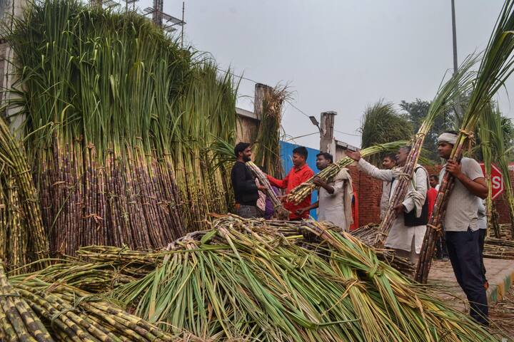 আখের রসে উচ্চমাত্রায় পটাশিয়াম থাকে। এটি শরীরে PH-মাত্রায় ভারসাম্য রাখতে সাহায্য় করে। হজমের সমস্যা থাকলেও কাজে লাগতে পারে আখের রস। হজমশক্তি ঠিক রাখতেও উপকারী এটি।