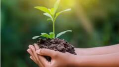 Lifestyle:ফিরে দেখা-বিশ্ব পরিবেশ দিবসের ইতিহাস ও তাৎপর্য