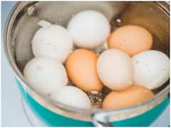 Health Tips: রোজ ক'টা ডিম খাওয়া স্বাস্থ্যের পক্ষে ক্ষতিকারক নয় ?