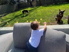 Priyanka Chopra की बेटी Malti Marie अपनी नानी के साथ शेयर करती हैं खास बॉन्डिंग, तस्वीरों में झलकता है एहसास