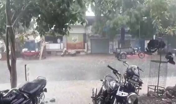 Heavy rain in Amreli district Amreli Rain: અમરેલી જિલ્લાના ચલાલામાં કરા સાથે વરસાદ ખાબક્યો