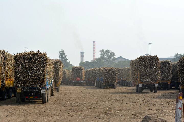 গ্রীষ্মকালীন নানা ফলের রস যেমন হয়েছে, তেমনই রয়েছে ডাবের জল। যা আদতেই 'Summer Drinks'। এইগুলি ছাড়াও আরও একটি ফসল রয়েছে যা গরমের সময়ের জন্য আদর্শ।