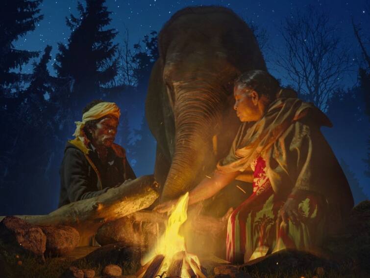 Goa’s First Environmental Film Festival Starts Guneet Monga’s With Oscar-Winning Documentary The Elephant Whisperers