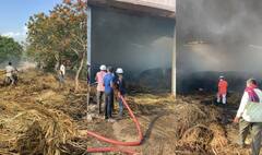 Surendranagar: વડવાળા મંદીરની ગૌશાળામાં ઘાસના ડેપોમાં લાગી ભીષણ આગ, ફાયરની 3 ગાડીઓ ઘટના સ્થળે