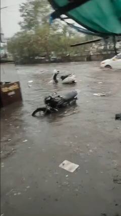 Gujarat Rain Photo: તસવીરોમાં જુઓ ગુજરાતમાં પડેલા વરસાદના દ્રશ્યો, અનેક વૃક્ષો ધરાશાયી, શેરીઓમાં ભરાયા પાણી