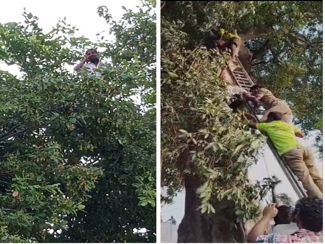 Crime: மரத்தின் உச்சியில் ஏறி கையை கிழித்துக்கொண்டு வாலிபர் தற்கொலை முயற்சி -  நெல்லையில் பரபரப்பு