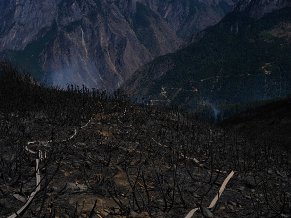 14 muertos y 5 desaparecidos tras derrumbe de montaña en provincia china de Sichuan