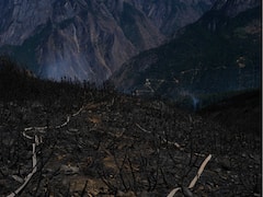 14 Killed, 5 Missing After Mountain Collapses In China's Sichuan Province: Report