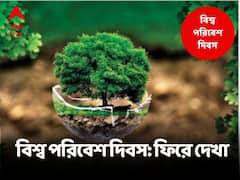 কোথা থেকে শুরু বিশ্ব পরিবেশ দিবস উদযাপন? কেনই বা গুরুত্বপূর্ণ এই দিন?