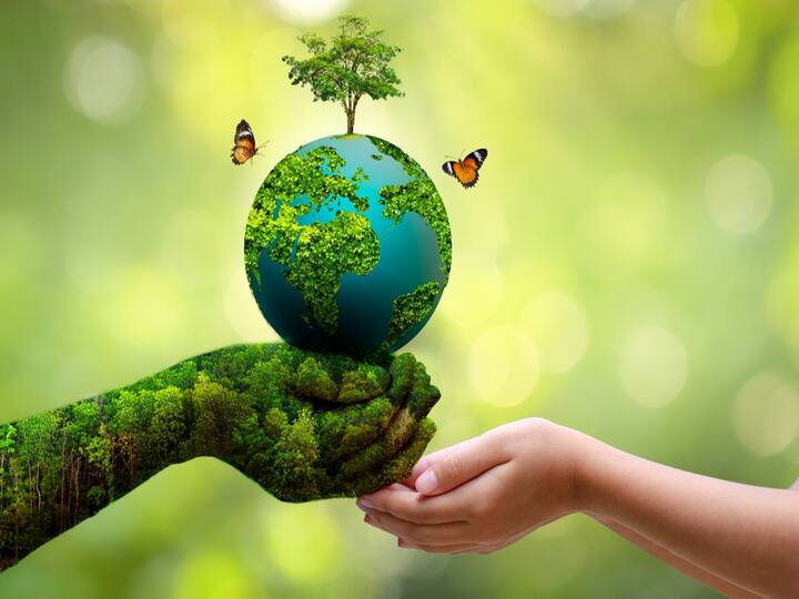 World Environment Day 2023 Date History Theme in India Significance Of Environment Day World Environment Day 2023: இன்று உலக சுற்றுச்சூழல் தினம் கடைபிடிப்பு...இந்தாண்டின் கருப்பொருள் என்ன?
