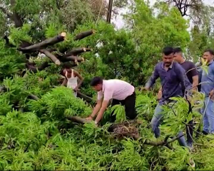 100-Metre Rule Could Devastate Aravalis, Risk Biodiversity And Groundwater, Warn Experts