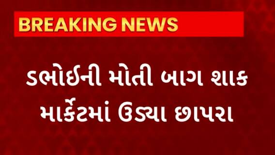 Vadodara News : વડોદરાના ડભોઇમાં પવન સાથેના વરસાદથી તારાજી