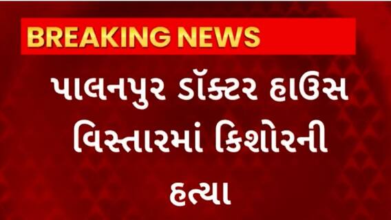 Banaskantha News : બનાસકાંઠાના પાલનપુરમાં ડોક્ટર હાઉસ વિસ્તારમાં કિશોરની હત્યા