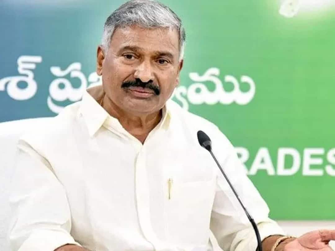 Minister Peddireddy ramachandra reddy clarifies over early elections Minister Peddireddy: ఏపీలో ముందస్తు ఎన్నికలపై పెద్దిరెడ్డి కీలక వ్యాఖ్యలు - స్పష్టత ఇచ్చిన మంత్రి