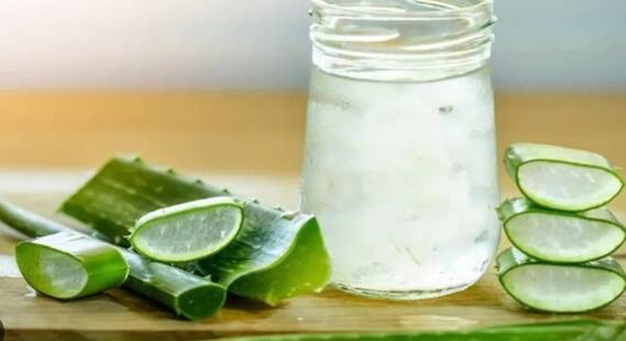 ਐਲੋਵੇਰਾ ਦਾ ਜੂਸ ਹੁੰਦਾ ਹੈ ਪੋਸ਼ਣ ਭਰਪੂਰ : ਐਲੋਵੇਰਾ ਦੇ ਜੂਸ ਵਿੱਚ ਭਰਪੂਰ ਪੋਸ਼ਕ ਤੱਤ ਹੁੰਦੇ ਹਨ। ਇਸ ਵਿਚ ਵਿਟਾਮਿਨ ਏ, ਸੀ, ਈ ਅਤੇ ਬੀ-ਕੰਪਲੈਕਸ ਵਿਟਾਮਿਨ ਦੇ ਨਾਲ-ਨਾਲ ਕੈਲਸ਼ੀਅਮ, ਮੈਗਨੀਸ਼ੀਅਮ, ਜ਼ਿੰਕ ਅਤੇ ਪੋਟਾਸ਼ੀਅਮ ਵਰਗੇ ਖਣਿਜ ਹੁੰਦੇ ਹਨ। ਖਾਲੀ ਪੇਟ ਐਲੋਵੇਰਾ ਦਾ ਜੂਸ ਪੀਣ ਨਾਲ ਤੁਹਾਡੇ ਸਰੀਰ ਨੂੰ ਜ਼ਰੂਰੀ ਪੋਸ਼ਕ ਤੱਤ ਮਿਲਦੇ ਹਨ।