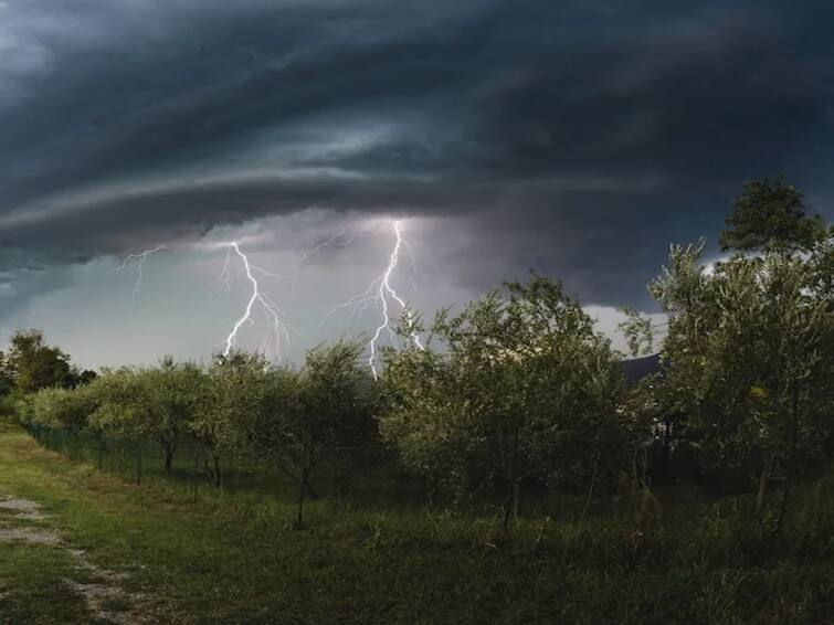 Paschim Medinipur: Two died of lightning and Thundering at Garbeta Paschim Medinipur: গড়বেতায় মাঠে কাজ করার সময় বাজ পড়ে মৃত ২ !