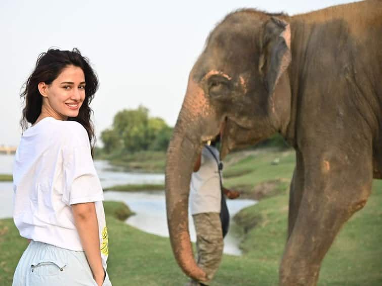 Disha Patani Shares Her Incredible Experience Of Her Visit At A Wildlife SOS Centre Disha Patani Shares Her Incredible Experience Of Her Visit At A Wildlife SOS Centre, WATCH