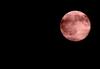 Strawberry Moon 2023 : खगोलप्रेमींसाठी खास पर्वणी! आकाशात दिसला 'स्ट्रॉबेरी मून', तुम्हीही पाहा एक झलक
