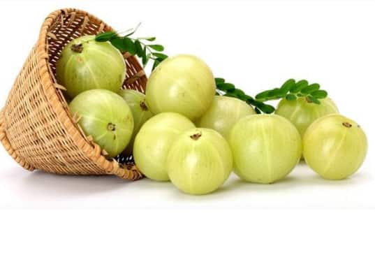 Amla Juice: आवळा आपलं आरोग्य उत्तम राखण्यासाठी अत्यंत फायदेशीर ठरतो. आयुर्वेदातही आवळ्याचे अनेक गुणकारी फायदे सांगण्यात आले आहेत.