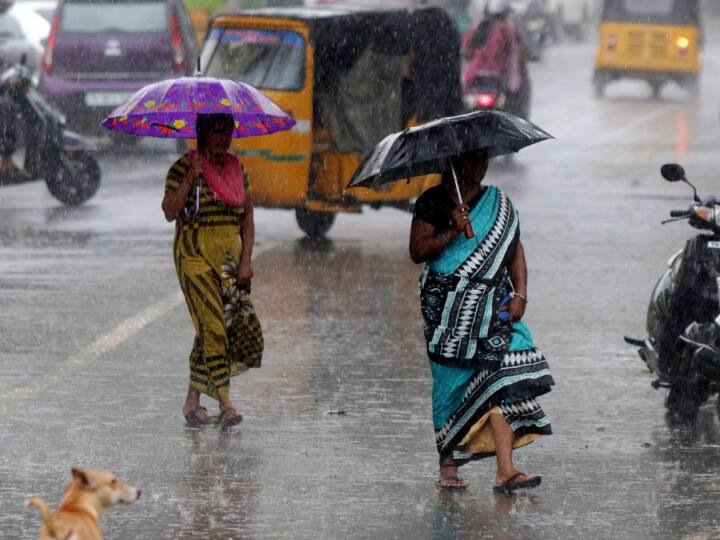 Maharashtra Weather update likely raining in Jalna district weatherforecast जालन्यात वीजेच्या कडकडाटासह वादळी वारे, पावसाची शक्यता; प्रशासनाकडून खबरदारी घेण्याचे आवाहन