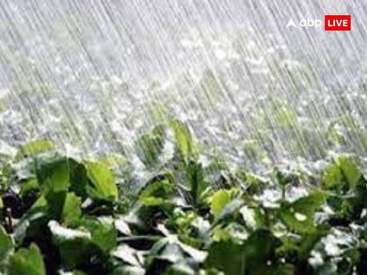 बारिश के पानी के अनगिनत फायदे वास्तु शास्त्र में बताएं गए हैं.इस बार बारिश के मौसम में बारिश के पानी को जरुर स्टोर करके रख लें.
