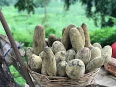 आम से भी क्यों 'ख़ास' है यह इमली...!