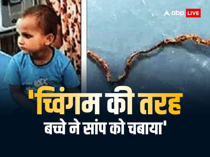 UP Farrukhabad A three-year-old child chewed a snake Parents Admitted Hospital UP News: यूपी में तीन साल के बच्चे ने खेल-खेल में सांप को चबाकर मार डाला, हैरान कर देगा मामला