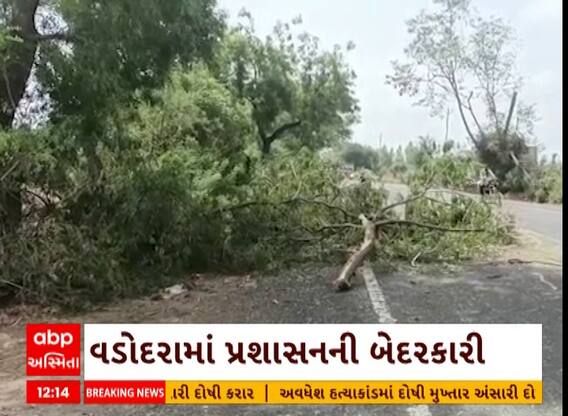 Vadodara| આ જુઓ તંત્રની બેદરકારી વાવાઝોડું અટક્યાના 24 કલાક બાદ પણ નથી હટાવાયા ધરાશાયી વૃક્ષોને