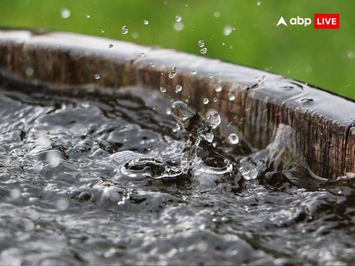 ऐसा माना जाता है कि पूजा के समय अगर आम के पत्तों पर उस पानी को छिड़क दें.आम के पत्तों पर बारिश का जल छिड़कने से धन की कमी पूरी होती है.