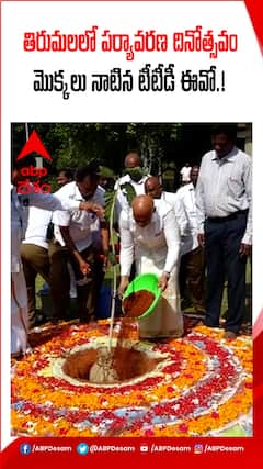 తిరుమలలో మొక్కలు నాటిన టీటీడీ ఈవో