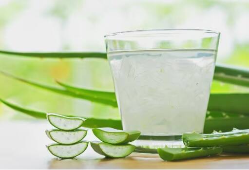 Drink Aloe Vera Juice : ਐਲੋਵੇਰਾ ਦਾ ਸਦੀਆਂ ਤੋਂ ਆਪਣਾ ਇੱਕ ਇਤਿਹਾਸ ਹੈ। ਐਲੋਵੇਰਾ ਨੂੰ ਕਈ ਤਰ੍ਹਾਂ ਦੀਆਂ ਸਰੀਰਕ ਅਤੇ ਮਾਨਸਿਕ ਸਮੱਸਿਆਵਾਂ ਦੇ ਹੱਲ ਲਈ ਸਭ ਤੋਂ ਵਧੀਆ ਮੰਨਿਆ ਜਾਂਦਾ ਹੈ। ਲੋਕ ਆਪਣੀ ਸਮੱਸਿਆ ਦੇ ਹਿਸਾਬ ਨਾਲ ਇਸ ਦੀ ਵਰਤੋਂ ਕਰਦੇ ਹਨ। ਜੇ ਕਿਸੇ ਨੂੰ ਪੇਟ ਦੀ ਸਮੱਸਿਆ ਹੈ ਤਾਂ ਉਹ ਐਲੋਵੇਰਾ ਦਾ ਜੂਸ ਪੀਂਦਾ ਹੈ। ਜੇ ਕਿਸੇ ਨੂੰ ਚਮੜੀ ਅਤੇ ਡੈਂਡਰਫ ਨਾਲ ਜੁੜੀ ਸਮੱਸਿਆ ਹੈ ਤਾਂ ਉਹ ਇਸ ਦੀ ਜੈੱਲ ਨੂੰ ਆਪਣੇ ਚਿਹਰੇ ਅਤੇ ਵਾਲਾਂ 'ਤੇ ਲਗਾਉ। ਪਰ ਅੱਜ ਇਸ ਲੇਖ ਰਾਹੀਂ ਅਸੀਂ ਤੁਹਾਨੂੰ ਦੱਸਾਂਗੇ ਕਿ ਕੀ ਖਾਲੀ ਪੇਟ ਐਲੋਵੇਰਾ ਦਾ ਜੂਸ ਪੀਣਾ ਚੰਗਾ ਹੈ ਜਾਂ ਨਹੀਂ?