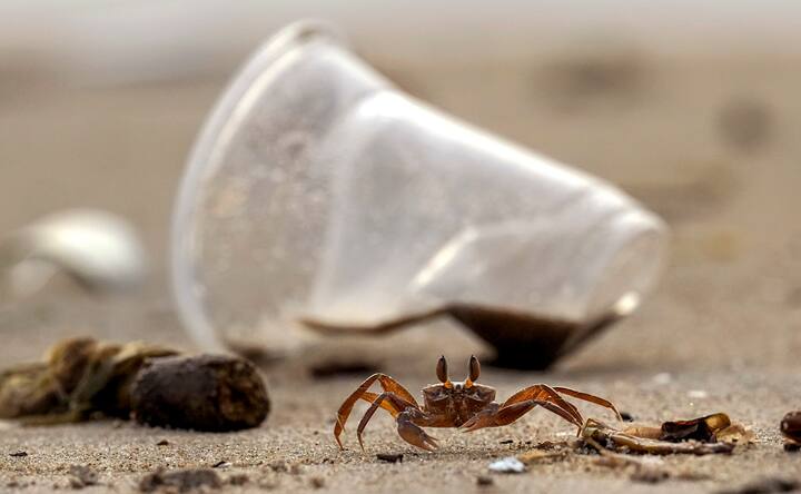 যেখানে সেখানে বর্জ্য, বিশেষ করে জৈব বর্জ্য় ফেলা উচিত নয়। তা পচে মিথেন তৈরি হয়। নির্দিষ্ট জায়গায় জৈব বর্জ্য ফেললে তা প্রক্রিয়াকরণ করা সম্ভব। তাহলে তা কাজে লাগবে।