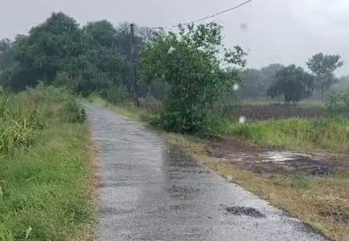 Gujarat Weather: રાજ્યમાં છેલ્લા 24 કલાકમાં 24 જિલ્લામાં નોંધાયો વરસાદ, જાણો ક્યાં નોંધાયો સૌથી વધુ વરસાદ