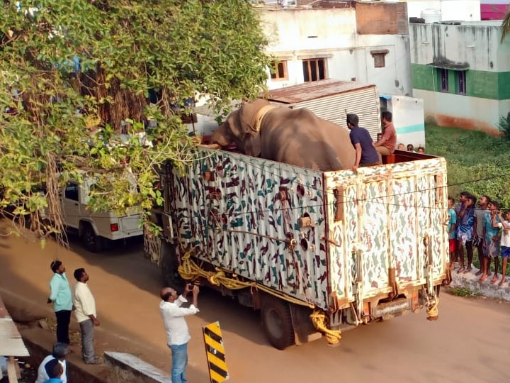 Arikomban: போக்கு காட்டி வந்த அரிகொம்பன் - யானையை வனத்துறை பிடித்தது எப்படி..?