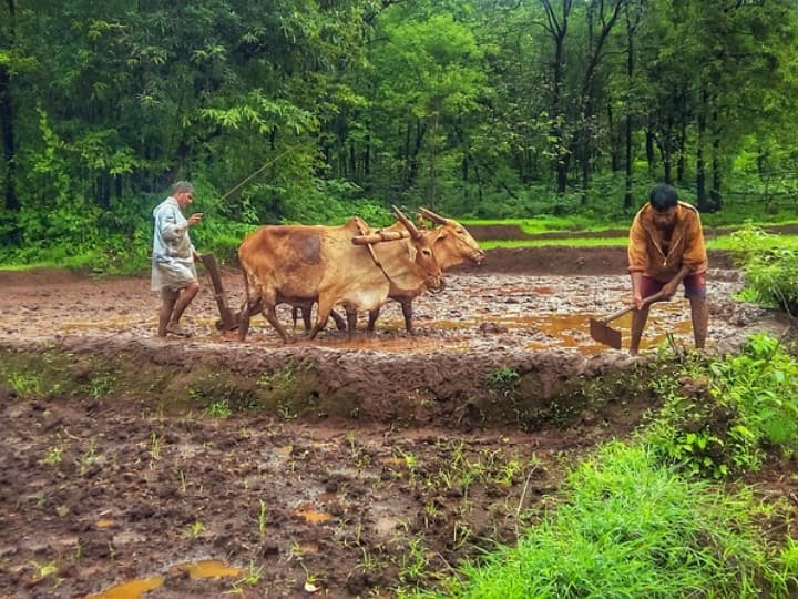 PM Kisan Yojana 14th installment 3 crore farmers may be deprived know why PM Kisan Yojana की 14वीं किस्त से वंचित हो सकते हैं 3 करोड़ किसान, जानें कारण 