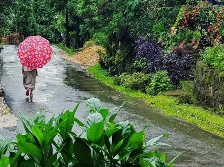 Asia Cleanest Village: आज आशियातील सर्वात सुंदर गावाबद्दल सांगणार आहोत. आशियातील सर्वात स्वच्छ गाव कसं बनलं हे जाणून तुम्हाला आश्चर्य वाटेल.