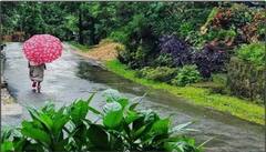 Asia Cleanest Village Photos : ਇਹ ਹੈ ਏਸ਼ੀਆ ਦਾ ਸਭ ਤੋਂ ਸਾਫ਼-ਸੁਥਰਾ ਪਿੰਡ, ਸਫ਼ਾਈ ਨਹੀਂ ਤਾਂ ਖਾਣਾ ਵੀ ਨਹੀਂ