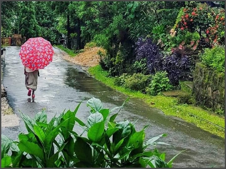 Asia Cleanest Village: आज हम आपको एशिया के सबसे खूबसूरत गांव के बारे में बता रहे हैं. आपको जानकर ताज्जुब हो होगा कि आखिर कैसे यह एशिया का सबसे स्वच्छ गांव बन गया.