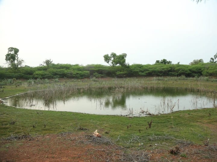 காளையார் கோவில்  பாண்டியன் கோட்டையில் பானை ஓட்டு கீறல்,குறியீடுகள்  கண்டெடுப்பு..