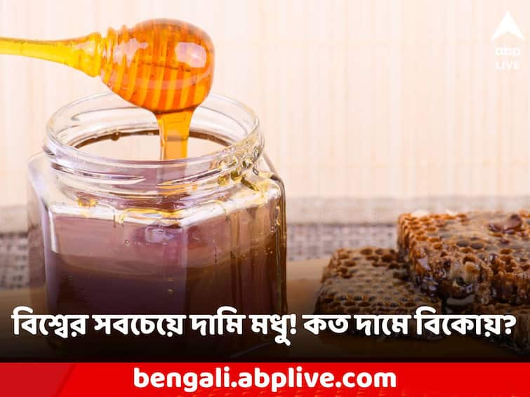 Heres Why this is the most expensive honey in the world Most Expensive Honey: এক কেজি মধুর দাম গাড়ির দামের সমান! বিশ্বের সবচেয়ে দামি মধু পাওয়া যায় কোন দেশে?