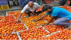 Inflation : ગરીબોની ચટણી નક્કી જ, ટામેટા બાદ આ ચીજવસ્તુ પર તોળાતો ભાવવધારો