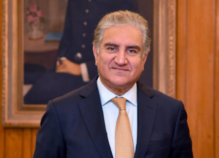 Pakistan PTI Vice Chairman Shah Mahmood Qureshi release from the Adiala Jail Mahmood Qureshi Release: 'मैं उस आंदोलन का हिस्सा हूं जो...', जेल से रिहा हुए इमरान खान के करीबी महमूद कुरैशी