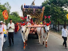 MuktaiNagar : 'पुंडलिक वरदे हरी विठ्ठल.... श्री ज्ञानदेव तुकारामा' गजर, मुक्ताई पालखी दिंडी सोहळा चिखलीत दाखल