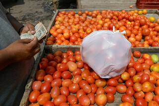 Vegetable Price Rise:  કમોસમી વરસાદના મારથી ટામેટાના ભાવ આસમાને, ગૃહિણીઓનું બગડ્યું બજેટ