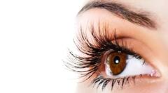 Foods For Eyesight: વૃદ્ધાવસ્થામાં પણ તેજ રહેશે આંખોની રોશની...અત્યારથી જ ખાવાનું શરૂ કરી દો આ વસ્તુઓ