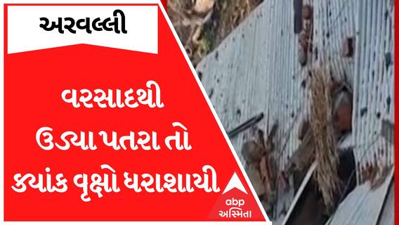 Arvalli Rain| ક્યાંક વૃક્ષો ધરાશાયી તો ક્યાંય મકાનોના ઉડ્યા પતરા, જુઓ વરસાદી નુકસાનીના દ્રશ્યો