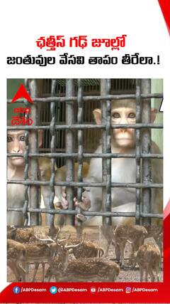 ఛత్తీస్ గడ్ జూలో జంతువులు వేసవితాపం తీరేలా..!