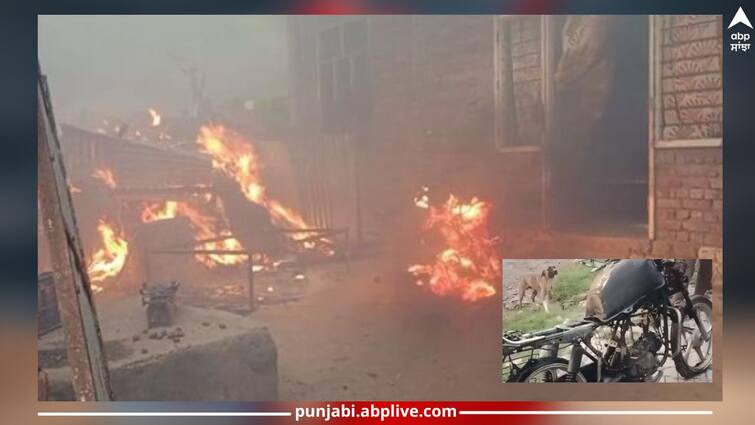 Punjab News: Massive damage due to sky lightning, poor family sought help from CM Mann Punjab News: ਅਸਮਾਨੀ ਬਿਜਲੀ ਡਿੱਗਣ ਨਾਲ ਹੋਇਆ ਭਾਰੀ ਨੁਕਸਾਨ, ਗਰੀਬ ਪਰਿਵਾਰ 'ਤੇ ਟੁੱਟਿਆ ਦੁੱਖਾਂ ਦਾ ਪਹਾੜ, CM ਮਾਨ ਤੋਂ ਮੰਗੀ ਮਦਦ