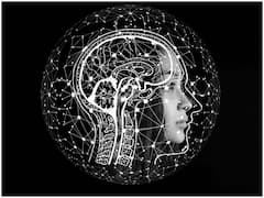 World Brain Tumor Day 2023: మెదడులో కణితులు త్వరగా గుర్తిస్తే చికిత్స చేయడం సులభమే, లక్షణాలు ఇవిగో